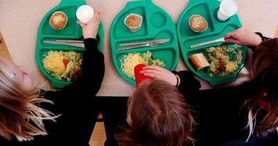 Plaid pledges free school meals to secondary school children