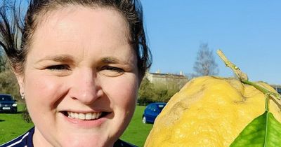 Mum finds 'biggest ever lemon' which is nine inches long and 'bigger than baby's head'