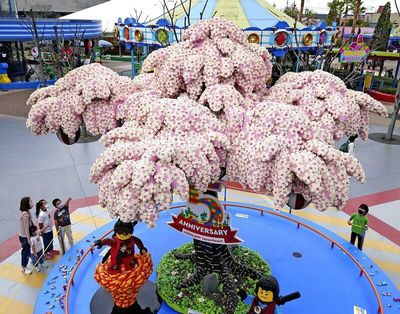 880,000-brick Lego cherry tree in full bloom