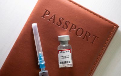 G20 chair Indonesia seeks standardised health requirements for travel