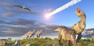 How did cockroaches survive the asteroid that led to the extinction of dinosaurs?