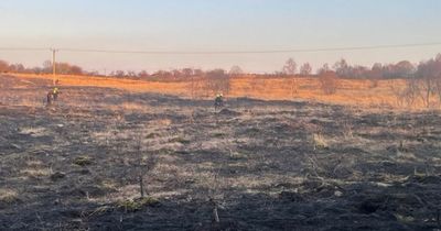 Huge area of Falkirk grassland destroyed after wildfire breaks out