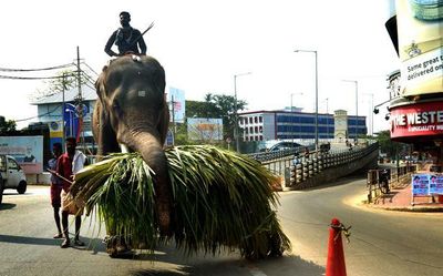 General strike hits normal life in Kollam