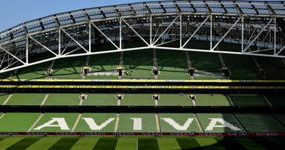 Aviva Stadium vegan burger goes viral for all the wrong reasons