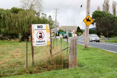 ‘David and Goliath’ battle over waste-to-energy plan in Angus Taylor’s NSW seat generates electoral heat