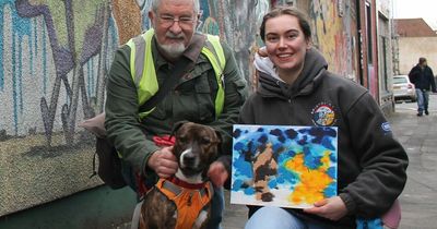 Painting dog called Banksy raises £500 with his artwork - but still can't find home