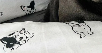 ASDA's £10 French Bulldog bedding goes viral when shoppers spot 'cute' detail