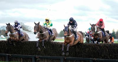 Horse racing tips and best bets for Fontwell, Uttoxeter, Wolverhampton and Navan