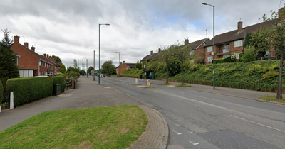 Teen yobs throw wood and bricks at firefighters responding to wheelie bin blaze in Top Valley