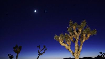 Celestial Trio To Shine Together Before Final Sunrise Of March