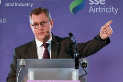 Travel pass scheme for Irish border will not damage NI tourism, vows Donaldson