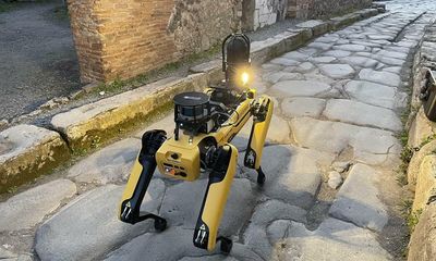 Robot dog called in to help manage Pompeii