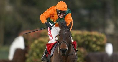 Henry Daly weighs up options for his Grand National fancy Fortescue