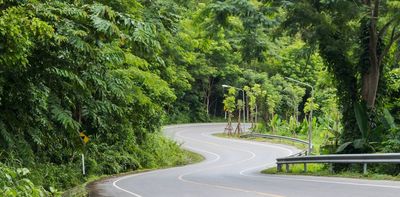 Roadside trees stitch the ecosystems of our nation together. Here’s why they’re in danger