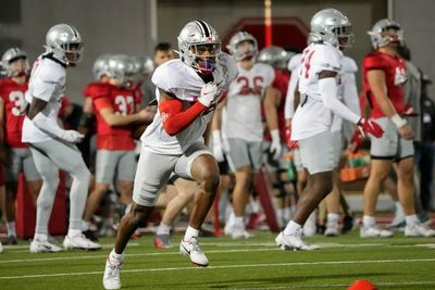 Ohio State defensive back first to lose black stripe this season