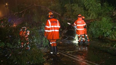 Sydney news: Flash flooding hits Sydney overnight