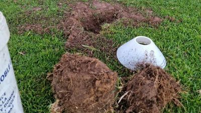 Metal detectorists damaging Adelaide Hills ovals but only discovering coins — and sprinklers