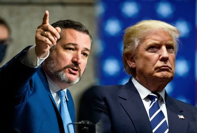 Cruz’s efforts to keep Trump in office