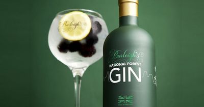 Craft gin distilled in the National Forest is a world-beater