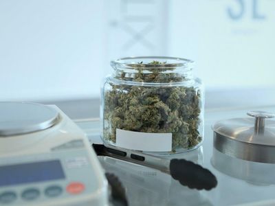 The Cannabis Business Is Booming – But For Entrepreneurs, Success Requires Diligence