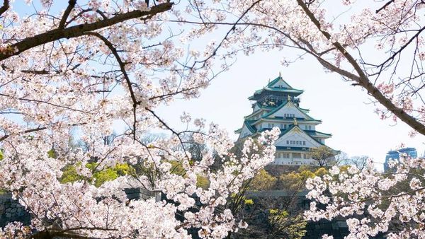 Top things to do in the Kansai region of Japan