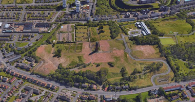 Trees felled at Ruchill Hospital development 'without permission' as council launch investigation