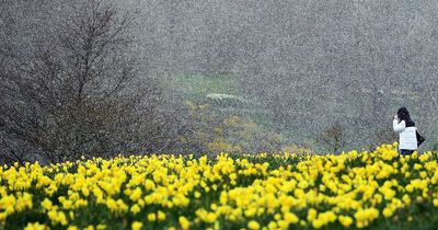 Liverpool weather: Met Office forecast turning colder with chances of sleet and hail