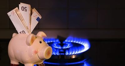 Shell, British Gas and Eon customers reveal worrying impact of energy price hike