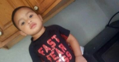 Boy, one, found dead in septic tank hours after going missing from garden