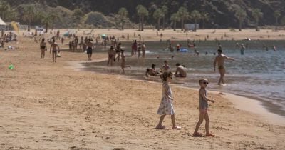 Covid travel rules: Canary Islands scrap restrictions ahead of Easter holidays