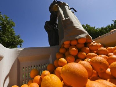 Migration lifts as COVID walls come down