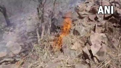 Fire breaks out at Sariska Tiger Reserve in Rajasthan's Alwar