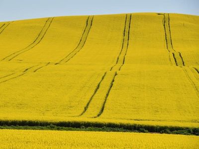 Exports and innovation in $600m ag spend