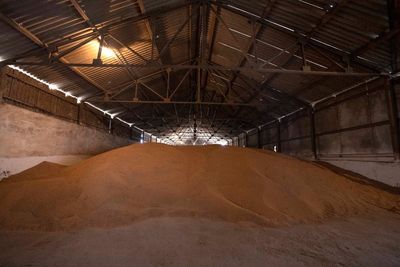 Ukraine’s other fight: Growing food for itself and the world