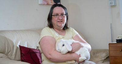 Couple hit with legal threats after council mistakes pet bunny for dangerous dog