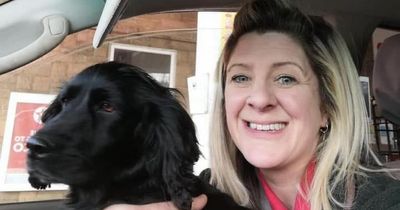Dog owner reunited with cocker spaniel stolen from her house four years ago
