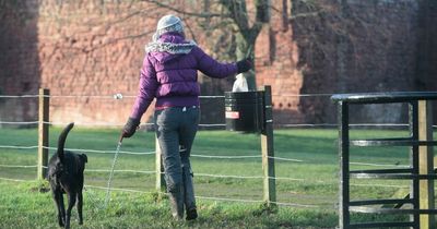 Extension to ban on letting dogs 'run amok' in Nottingham as residents 'intimidated'