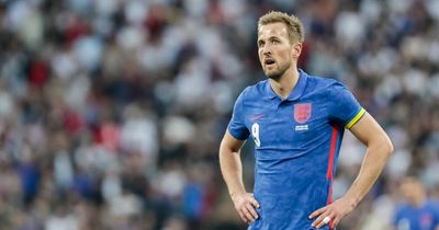 Harry Kane could prove a test of Manchester United transfer strategy this summer