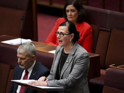 Outgoing Liberal senator lashes Morrison