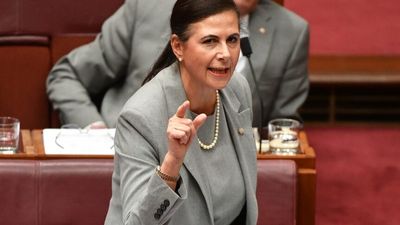 Liberal senator Concetta Fierravanti-Wells labels Scott Morrison 'a bully with no moral compass'