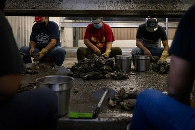 A Hollow Victory for Texas Oyster Fishers