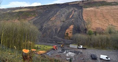 Report calls for new body to monitor safety of all disused coal tips in Wales