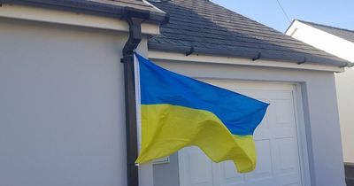 Flags in support of Ukraine torn down in small Welsh village and locals branded 'Nazi sympathisers'