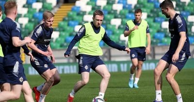 What channel is Northern Ireland vs Hungary on? TV and live stream info for the game