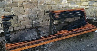 Benches and high-tech bins burnt out in popular south Dublin park