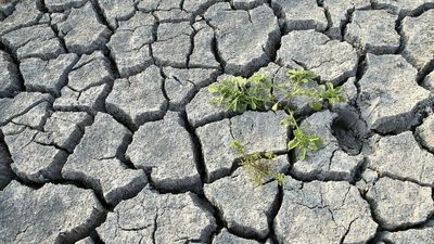 Curbs on water as French Alps and Riviera endure painful drought