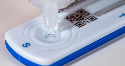 People testing positive for Covid in England are not self-isolating, new figures show