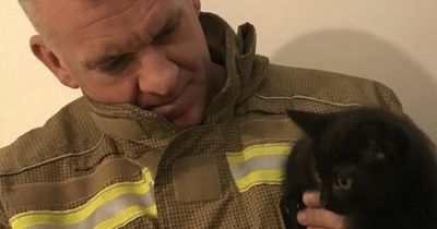 Fire crew rescues eight-week-old kitten trapped inside bathroom wall in North Shields
