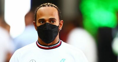 Lewis Hamilton's ability questioned despite seven world title wins - 'Never had to push'