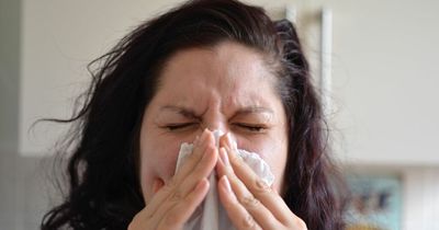 GP explains why everyone is sick right now with Covid-like symptoms but testing negative